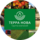 Терра Нова